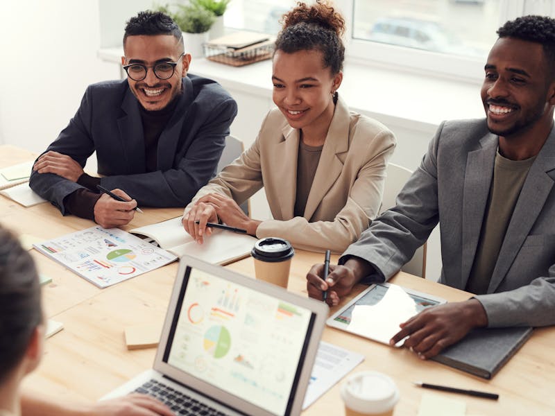 Software consultation